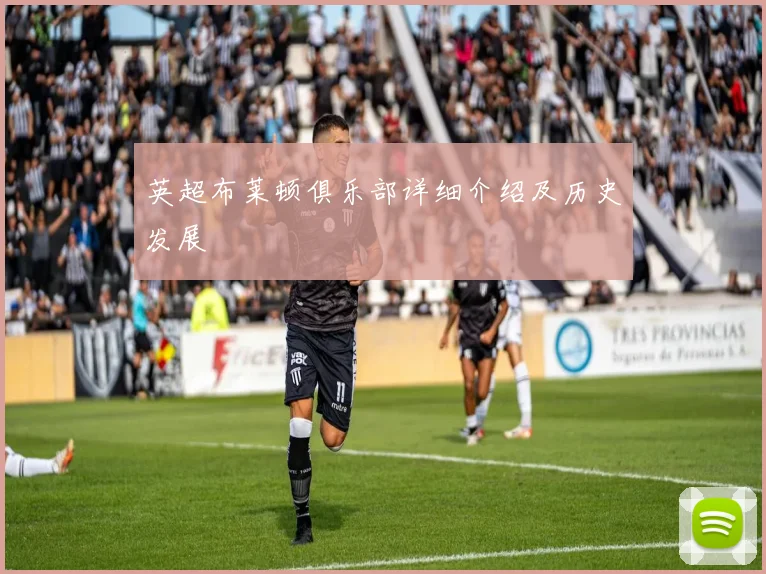 英超布莱顿俱乐部详细介绍及历史发展